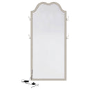 Evangeline Floor Mirror with LED Lighting