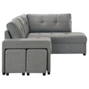 Roanne Pull-Out Sleeper Sectional Sofa
