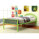 Rainbow Bed