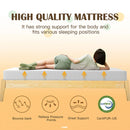 Forsythia 8" Green Tea Gel Memory Foam