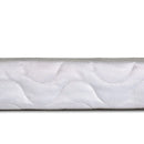 Bird Of Paradise 4"-Size Foundation