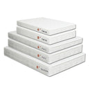 Daisy White 6" Bunkie Board Combo Mattress