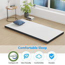 Hollyhock 3" Tri-Fold Memory Foam Topper