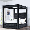 Etherea Bed Gray & Black
