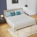 Coreopsis 10" Memory Foam Wave Comfort