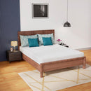 Coreopsis 8" Memory Foam Wave Comfort