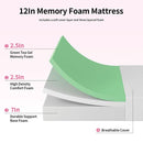 Forsythia 12" Green Tea Gel Memory Foam