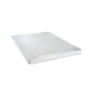 Bird Of Paradise 4"-Size Foundation