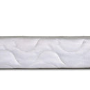 Bird Of Paradise 4"-Size Foundation