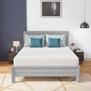 Coreopsis 10" Memory Foam Wave Comfort