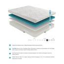 MT-G10Q - 10" Queen Gel-Infused Memory Foam Mattress