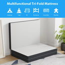 Hollyhock 3" Tri-Fold Memory Foam Topper