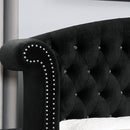 Zohar Bed Black & Pink
