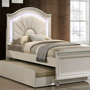 ALLIE Twin & Full Rose Gold Bed