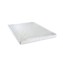 Bird Of Paradise 4"-Size Foundation