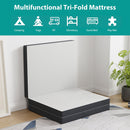 Hollyhock 4" Queen Tri-Fold Memory Foam Topper