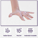 Nasturtium 8" Queen Bamboo Charcoal Infused Memory Foam