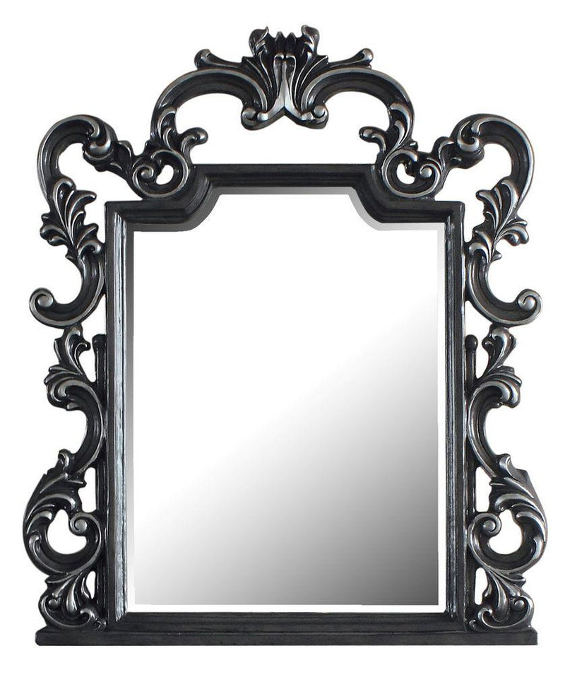 Acme Furniture House Delphine Mirror in Charcoal 28834 image